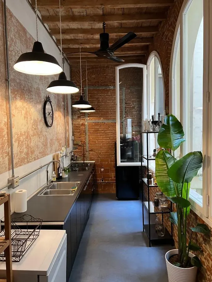 Velvet Loft - Santo Spirito Apartment Florence