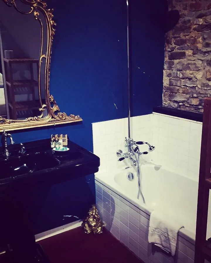Velvet Loft - Santo Spirito Apartment Florence