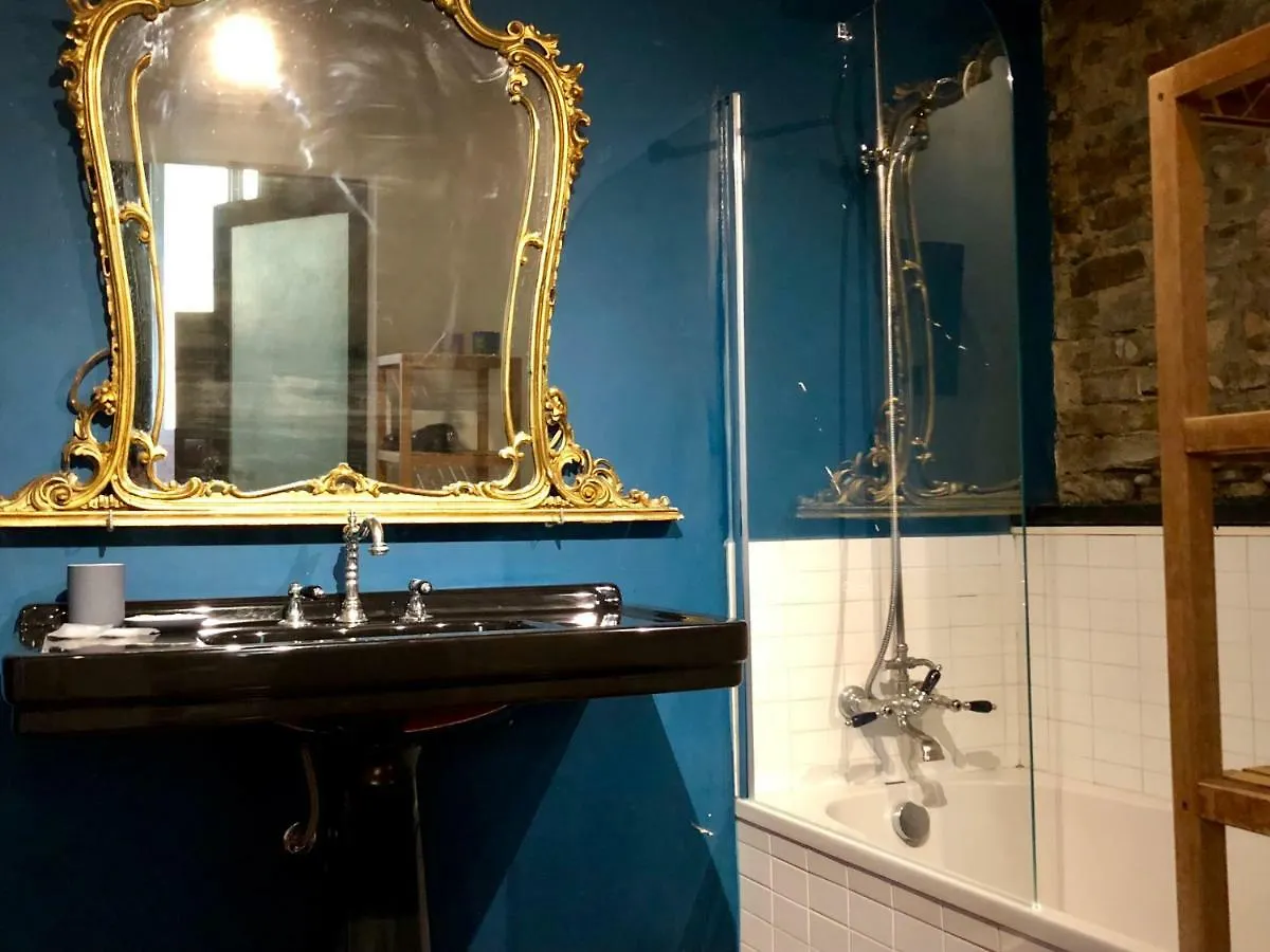 Velvet Loft - Santo Spirito Apartment Florence Italy